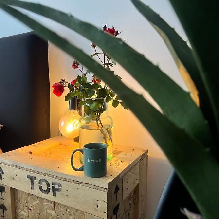 Appartamento Nuovissimo: La Casa Bolognese Zewnętrze zdjęcie